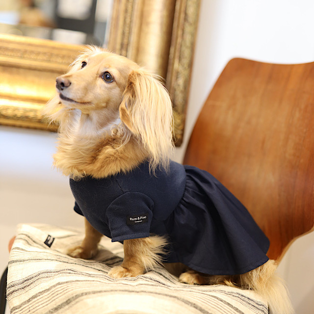 チュニックワンピ カニンヘンダックスとミニチュアダックス専門のお洋服webショップ Rum Pino Couture