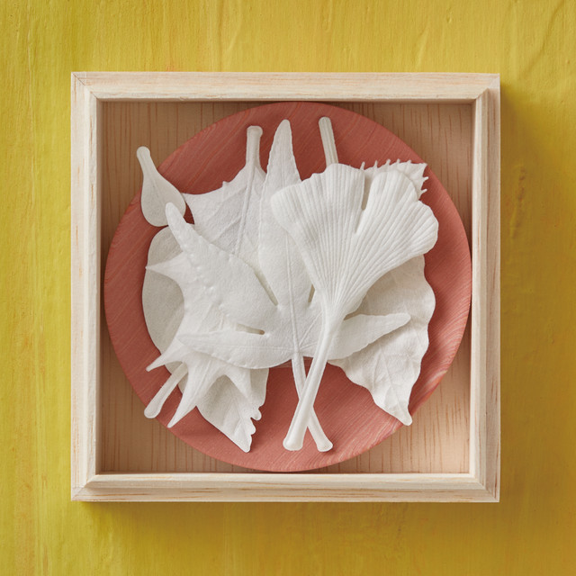 Shopping from overseas: Autumn & Winter HA KO Special  Box  set of eight［Limited quantities］