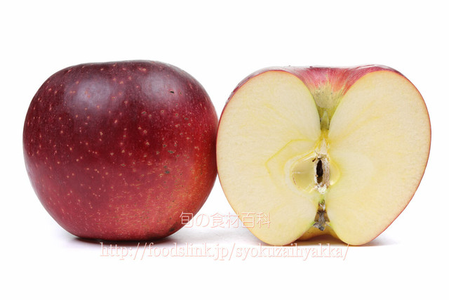 シナノホッペ リンゴ 写真素材16点詰め合わせセット 旬の食材百科 ロイヤリティーフリー画像素材