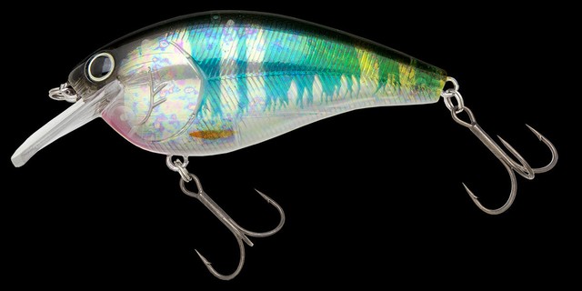 ノリーズ ショット ストーミーマグナム Tdm Worldswimbaitsociety By黒鱒堂 Kuromasudou