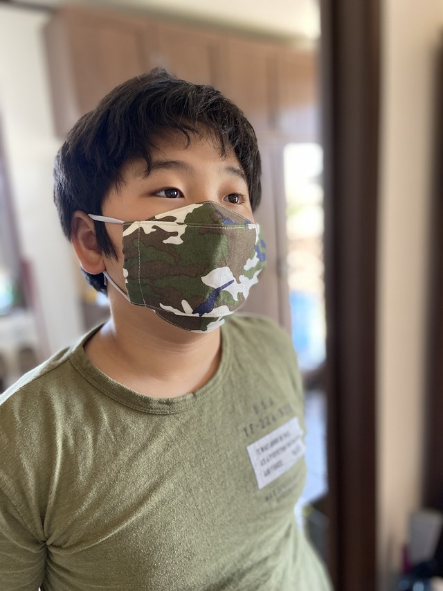 箱型マスク 葉っぱ 高学年 女性用 大臣風 Wildberryの布小物