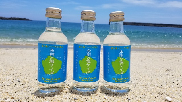 屋久島 永田の塩サイダー 3本入り 屋久島 海の胡汀路 てぃーだ