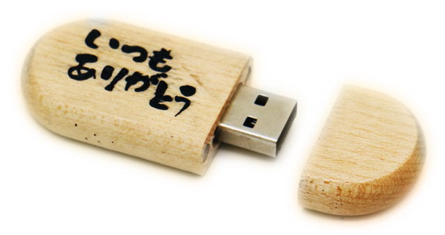 名入れ Usb メモリー 16g 送料無料 キャラクター エッチング工房ちゃわわ