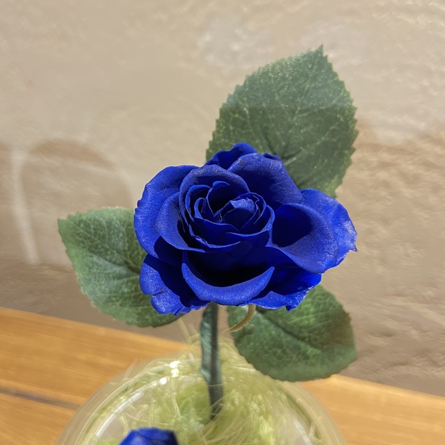 ブリザードフラワーオルゴール 河口湖 音楽と森の美術館 Online Shop