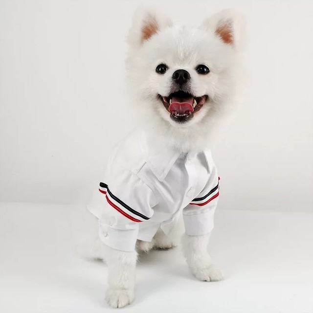 全3色トリコロールカラー シャツ シンプル モノトーン 男の子 正装 犬服 ドッグウェア ペット服 わんこ Bandp Dog Wear わんこのお洋服 犬服 ペット服