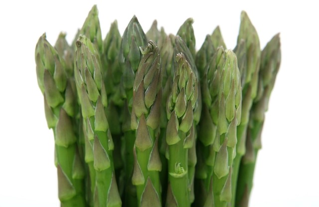 【冬の間に旨味と甘みをたっぷり蓄えた】下川産 グリーンアスパラガス2L 1㎏