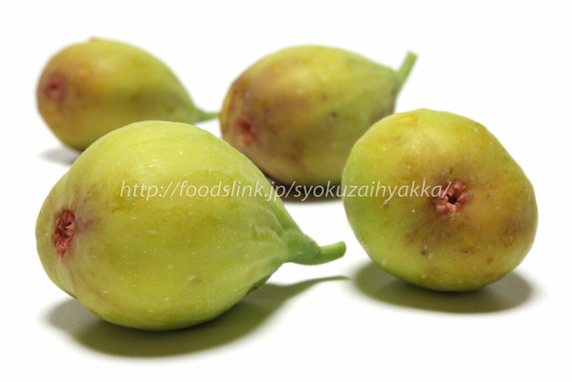 白イチジク バナーネ 夏果 Figbanane24 5184 3456 旬の食材百科 ロイヤリティーフリー画像素材