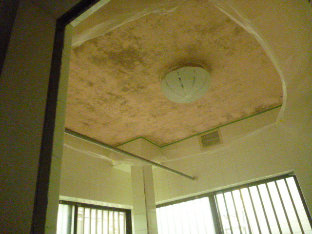 浴室天井カビ 塗装工事 リフォーム源さん