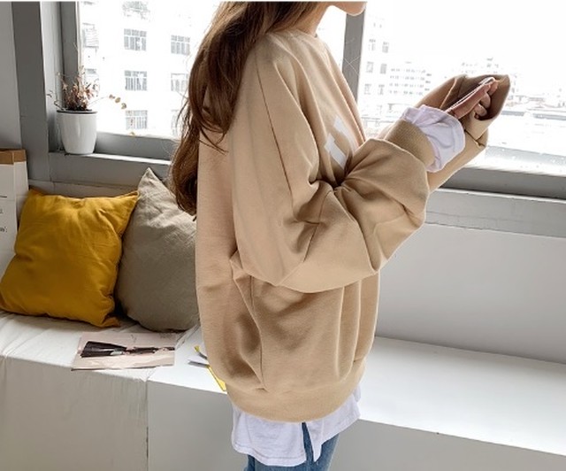 プルオーバー トレーナー レディース トップス Usaロゴスウェットトレーナー 長袖 裏起毛 Dailymode11