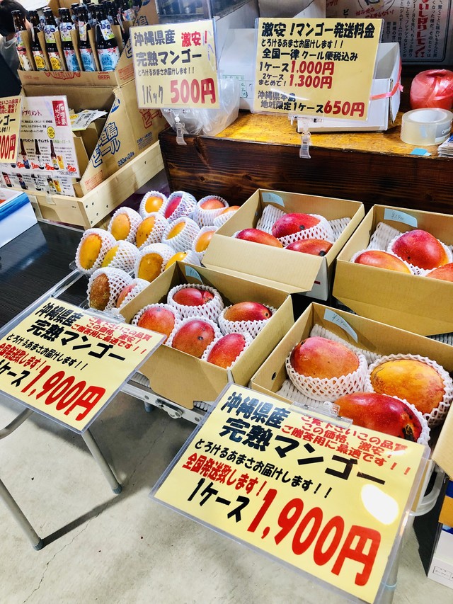 激安 沖縄県産マンゴー 税込1 900円 當眞ノ里