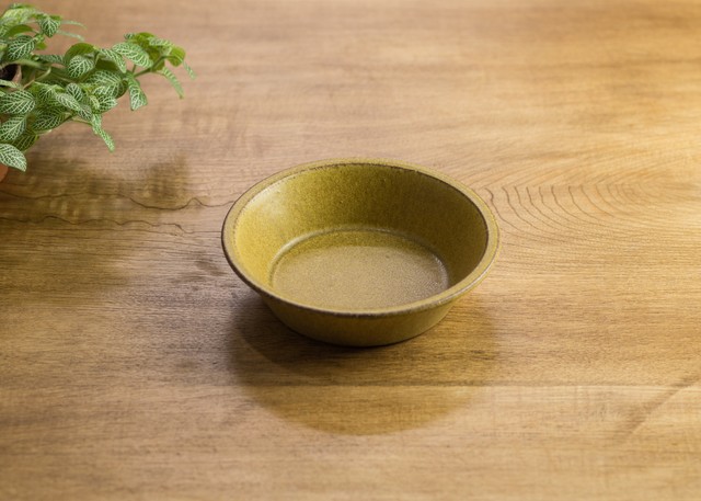 SHIROUMA 浅鉢 15cm 芥子色(シリアルボウル・グラタン皿・耐熱皿)/長谷川 哲也