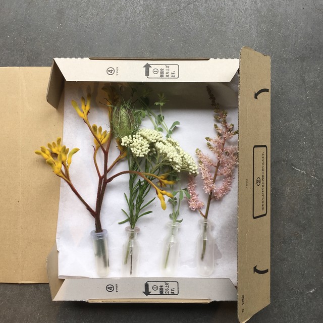 お花の定期便 ポストに投函 Lowergo