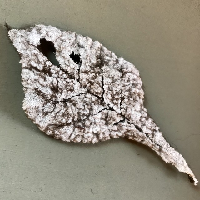 【山本彌】ib-02「leaf」