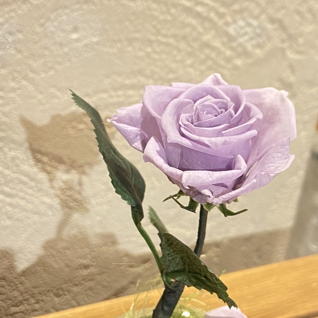 ブリザードフラワーオルゴール 河口湖 音楽と森の美術館 Online Shop