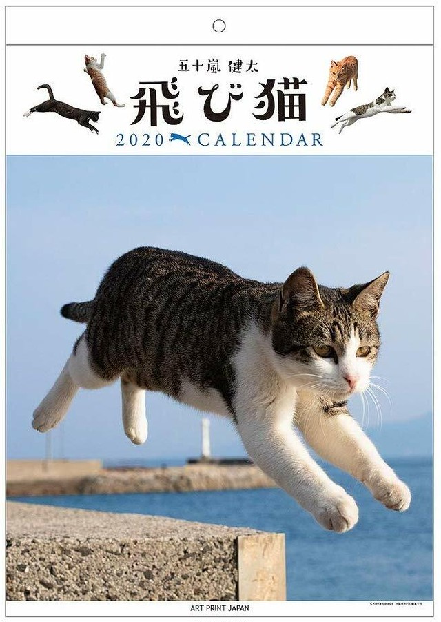 [最も人気のある！] 猫カレンダー 2020 無料（フリー）ダウンロードOK