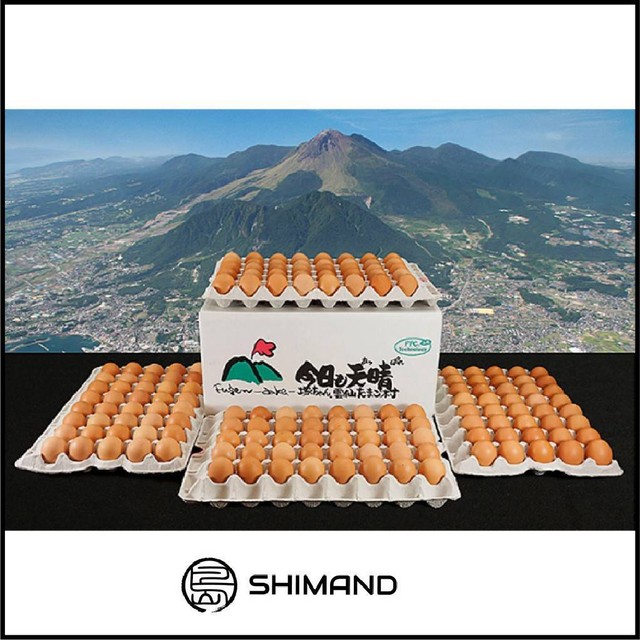【送料無料!!】雲仙採れたてたまご 10kg箱