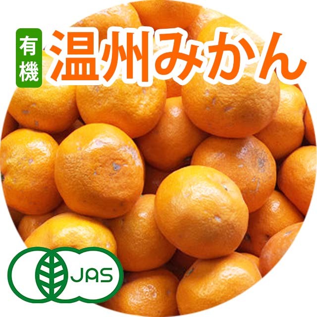 【数量限定】愛媛県産 有機 温州みかん 10Kg