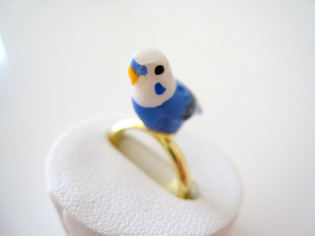 セキセイインコ 青 の指輪 Toriko