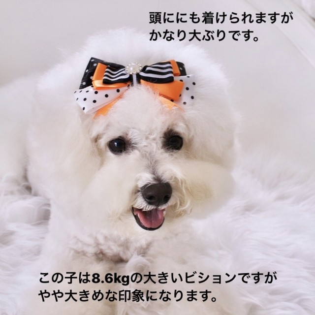 再入荷 犬用 ハロウィンリボンチョーカー Happy Bridge