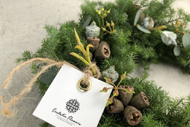 Chamaecyparis pisifera #02