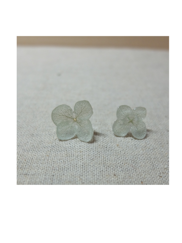 Hydrangea Lace Mint 紫陽花 ミント アレルギーフリー 樹脂ピアス Stanton Street Botanical スタントンストリートボタニカル