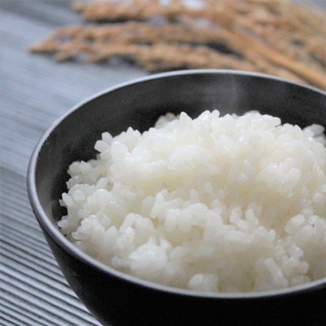 【定期便】美し米 美山産コシヒカリ5kg精米 (2か月コース・3回分)
