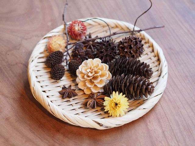 シューフライ 黒ホオズキ 黒 6本セット ドライフラワーショップ Une Brise ユヌブリーズ 川越