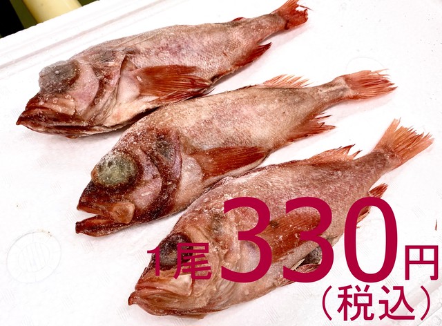 【一般のお客様大歓迎】604 ご家庭用 宮城県産冷凍尾頭付メヌケ(赤魚) セミドレス 3尾入 ウロコ内臓処理済み