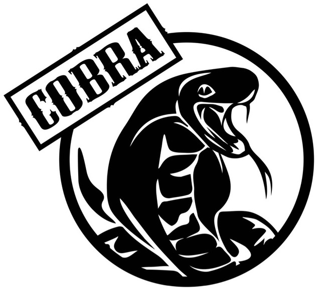 カッティングシート コブラ 蛇 Cobra トライバル ステッカー 丸型 Htd