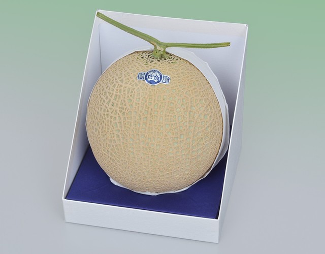 静岡産 アローママスクメロン【1玉計約1.3kg】 〔送料無料 メロン 贈答用〕