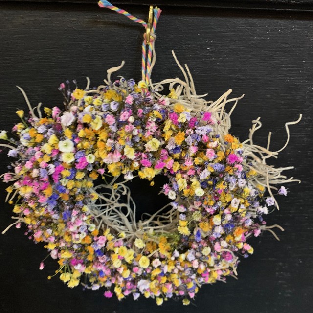 Dried Flower Wreath ドライフラワーリース カラフルかすみ草 Number12