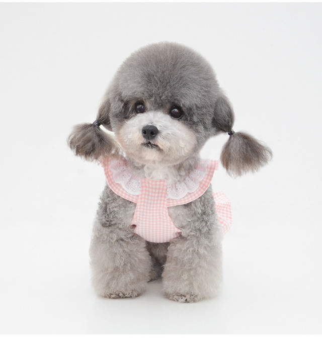 コットン ギンガムチェック リボン付き フリル ワンピース 犬用 犬服 Tanu Maison