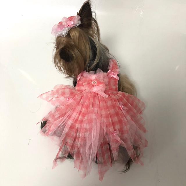 犬服オーダー ギンガムチュール妖精ワンピース Dogdress Ari Ra