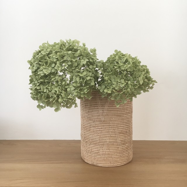 Dust Box Frangipani Rattans 暮らしの器 かまごと