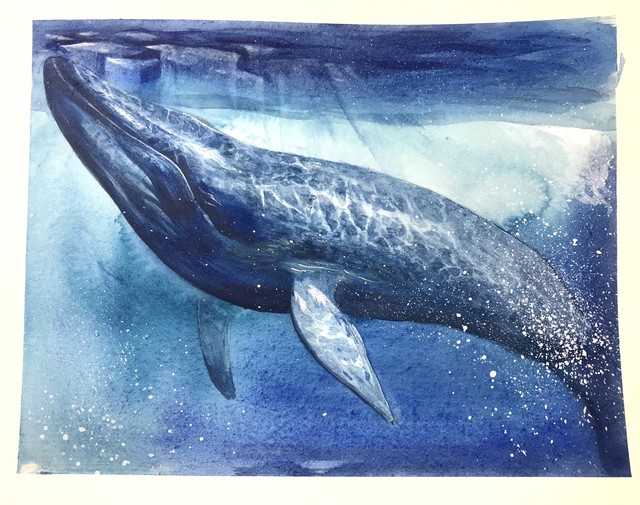 サイン付きイラスト クジラ Morze