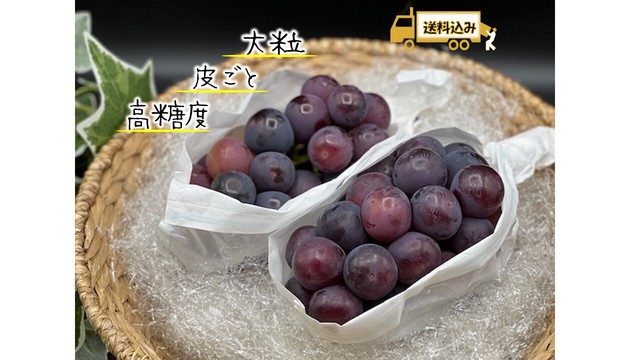 【限定1名様】ちょっと訳あり オーロラブラック 2房