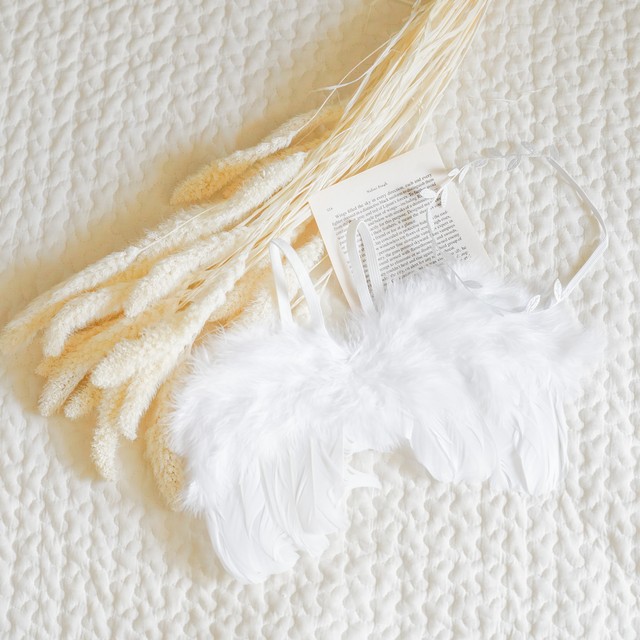 天使の羽 ニューボーン ハーフバースデー Angel Wing Ammymade