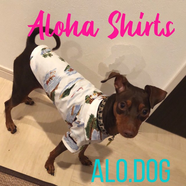 犬服 アロハシャツ Aloha Shirts 小型犬用 Alo Dog
