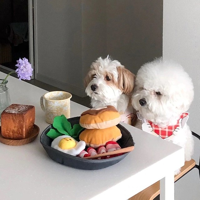 ノーズワーク 犬用 玩具 おもちゃ パンケーキ 韓国 Cozy Style