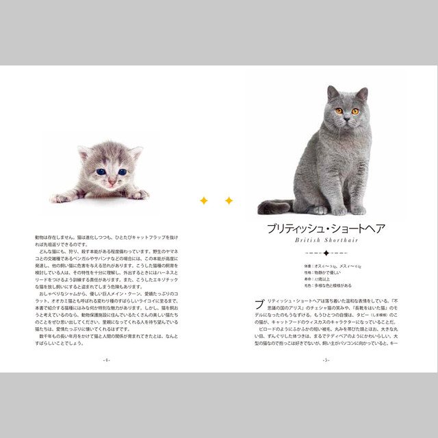 猫図鑑 Mypicturebook世界のねこ マスノヤ衣料品店 マスノヤ猫雑貨店