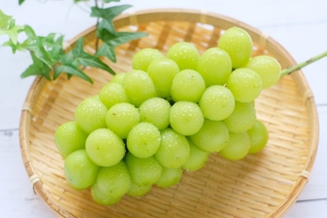 完売御礼 シャインマスカット ２kg箱 ３ ５房 フル里 Masaちゃん