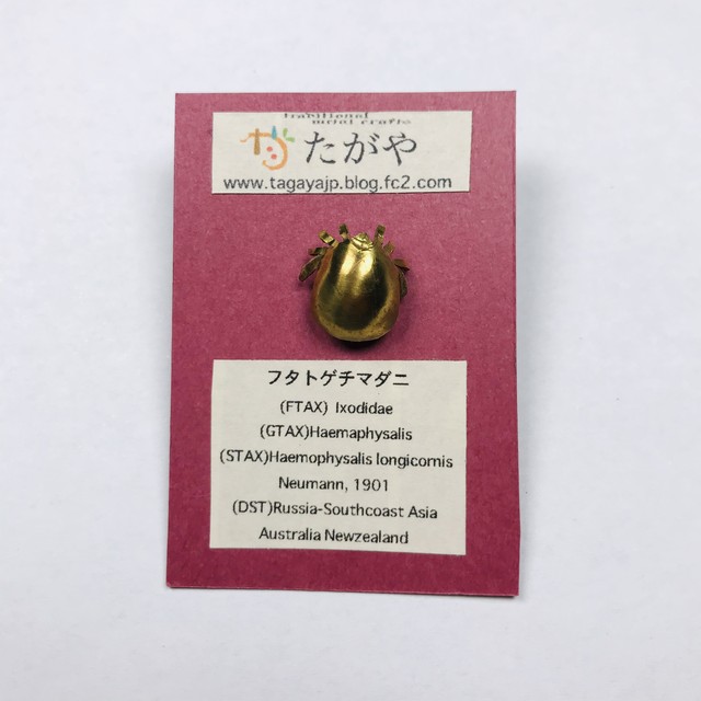 【たがや】 ブローチ「フタトゲチマダニ」