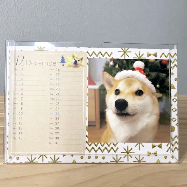 送料無料 カレンダー発売記念 数量限定 柴犬こてつ君卓上カレンダー21年 Shibainu Kotetsu Calendar 21 こてつコースター5種 特別セット Asanayuna