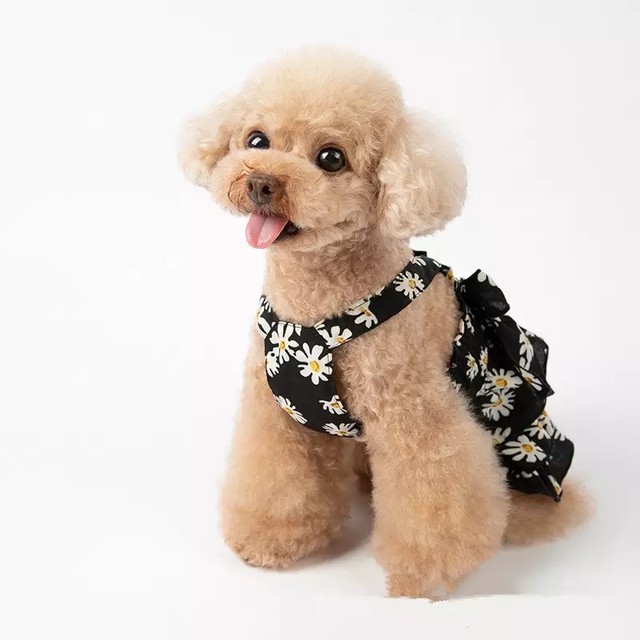 全2色 モノトーン お花柄 ワンピース フリル リボン 犬服 ドッグウェア ペット服 わんこ Bandp Dog Wear わんこのお洋服 犬服 ペット服