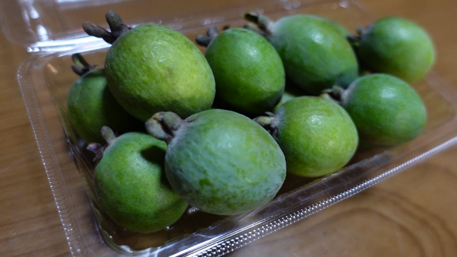 なおとフェイジョア園 Naoto S Feijoa Garden なおとフェイジョア園 Naoto S Feijoa Garden