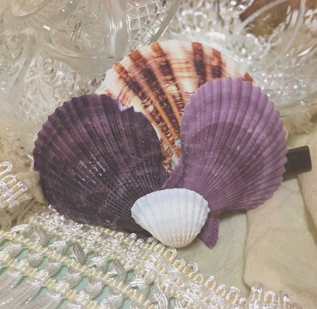 貝殻の髪飾り Lucien オープニングsale実施中