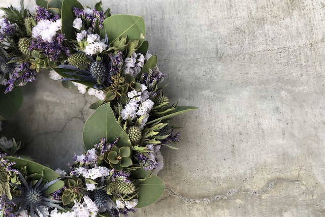 Eryngium wreathe