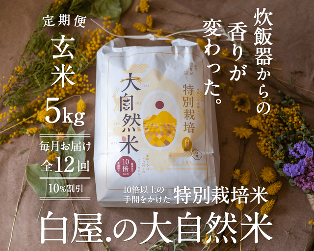 【定期購入/1ヶ月毎】大自然米【玄米】5kg x 12回(1年間)10%お得!
