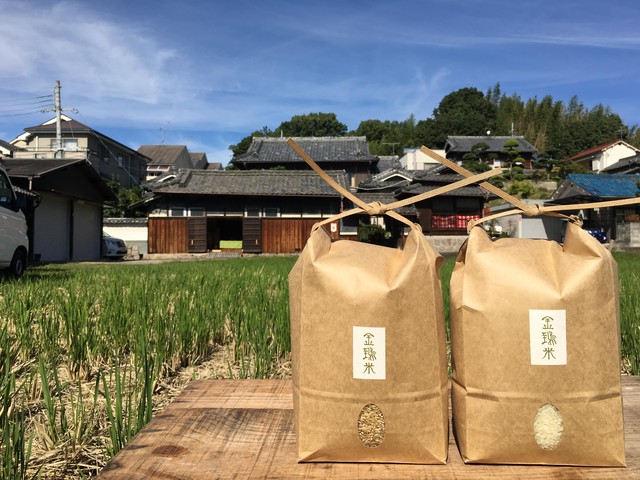 新米【お試しセット金鵄米:白米2kg/玄米2kgの計4kgセット】きんしまい2020年産ヒノヒカリ