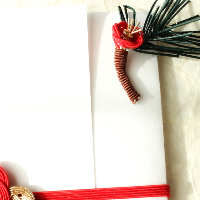 他の人とはかぶらない 梅のご祝儀袋 結婚式 新築出産祝い用 A Japanese Gift Money Envelope With A Pine Flower Mizuhiki
